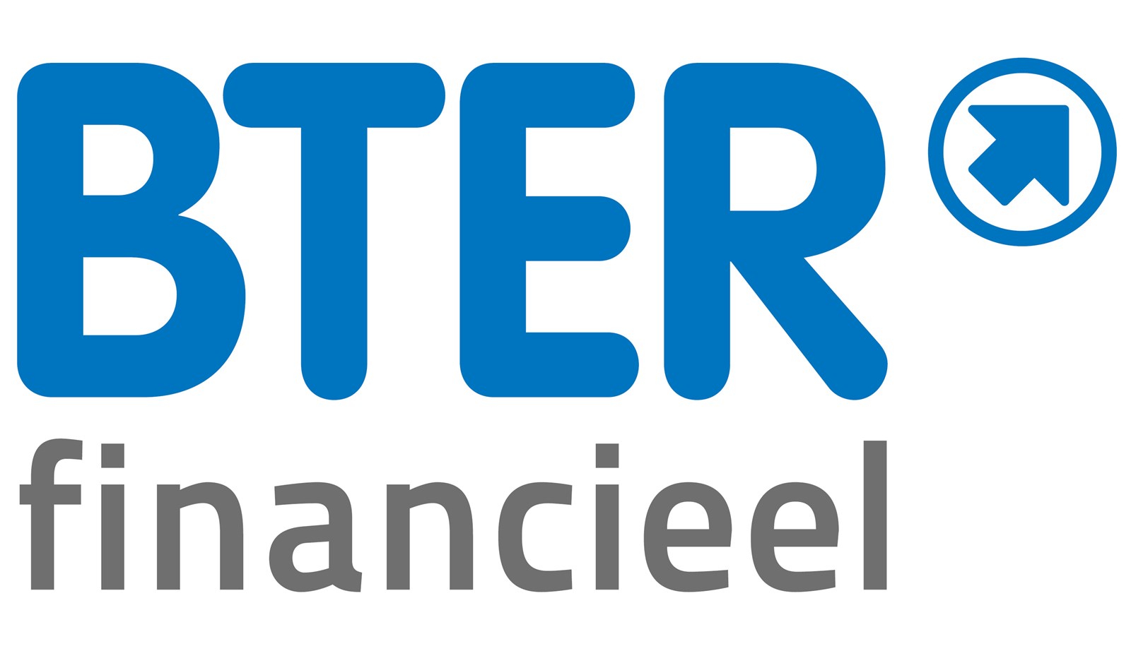 Logo van BTER financieel Drachten