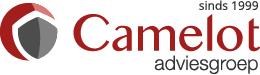 Logo van Camelot Adviesgroep
