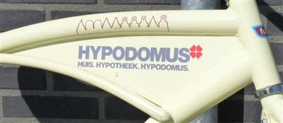 Afbeelding van Hypodomus Hypotheken