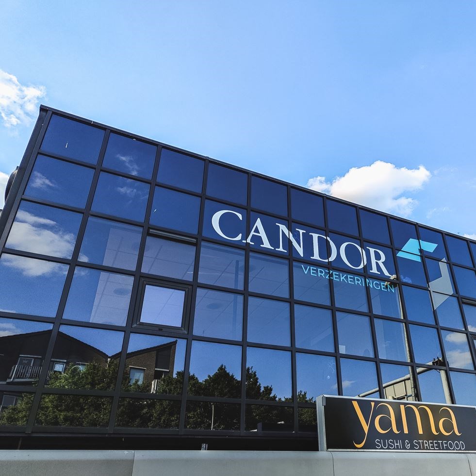 Afbeelding van Candor