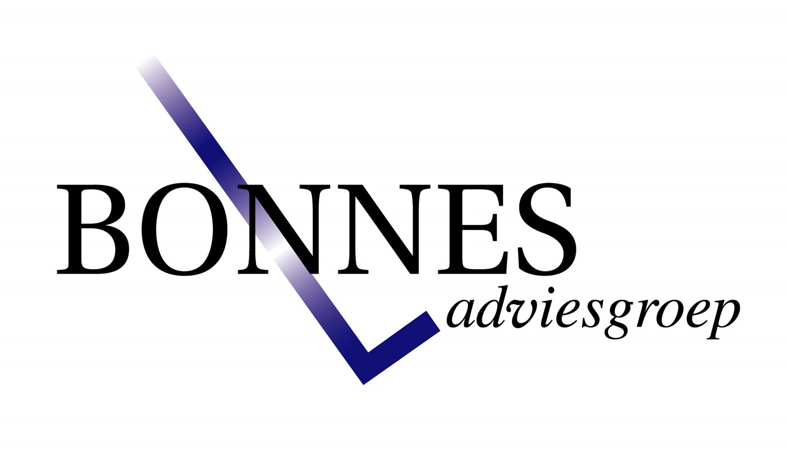 Logo van Bonnes Adviesgroep