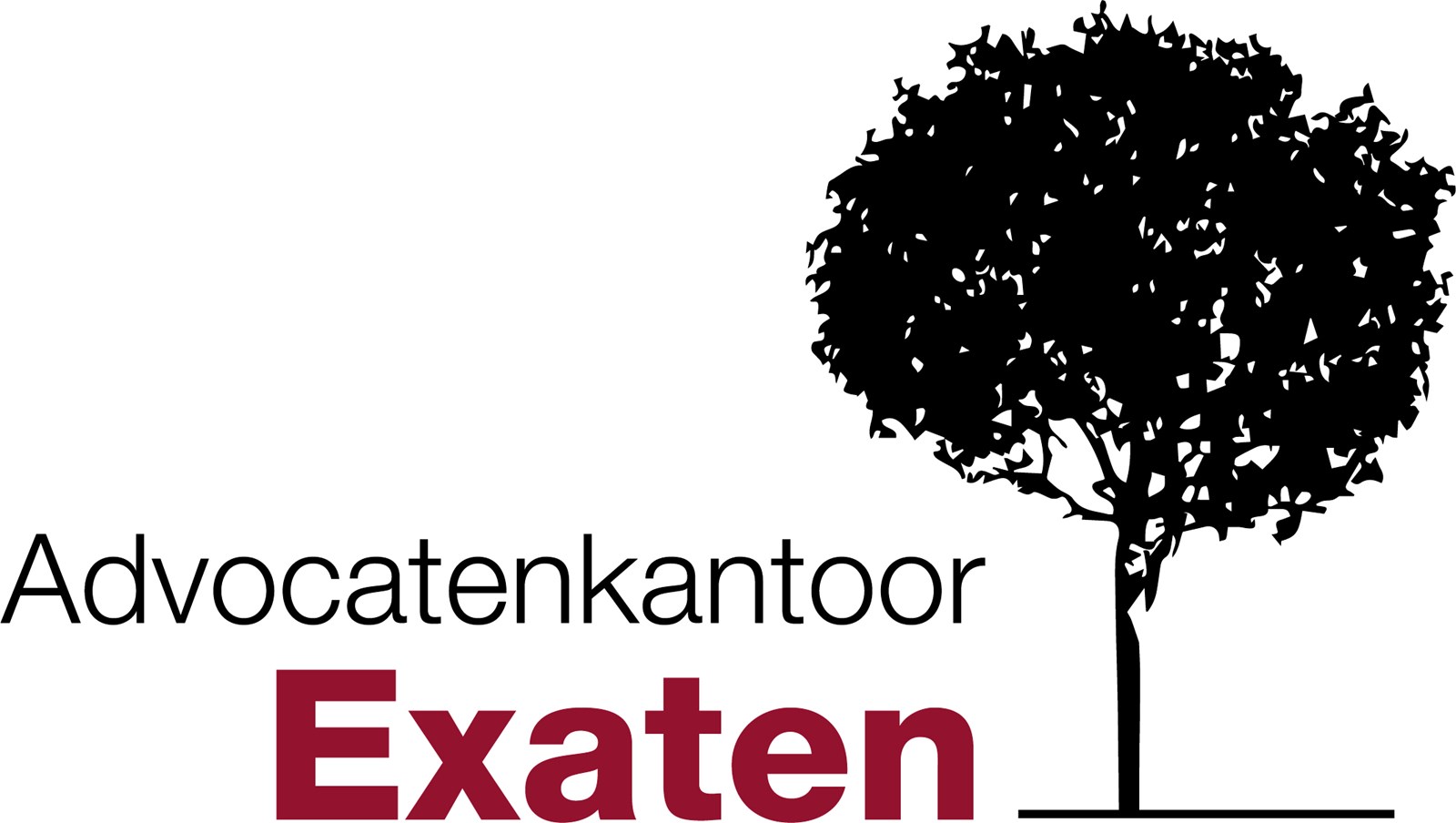 Afbeelding van Advocatenkantoor Exaten