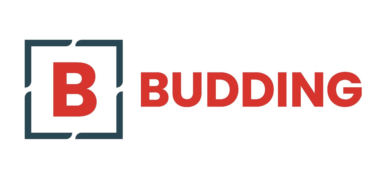 Logo van Budding BV